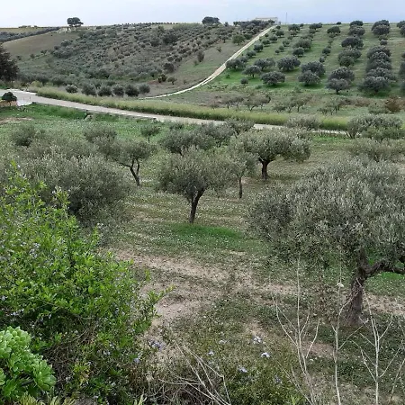 Διαμέρισμα Monolocale In